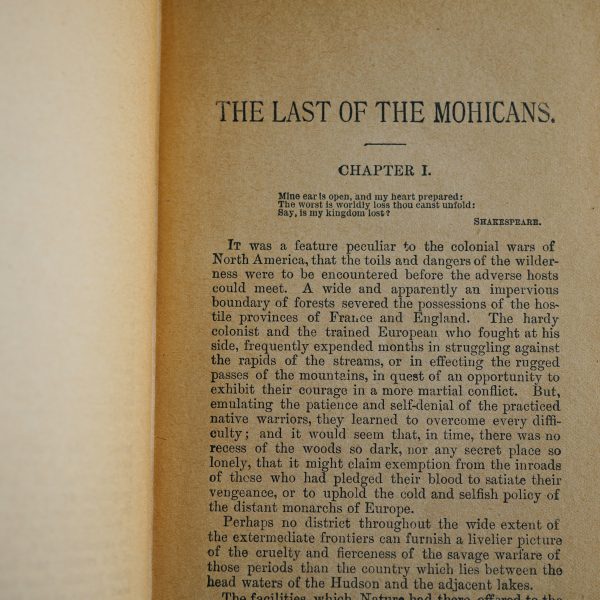 The Last of the Mohicans - Image 3
