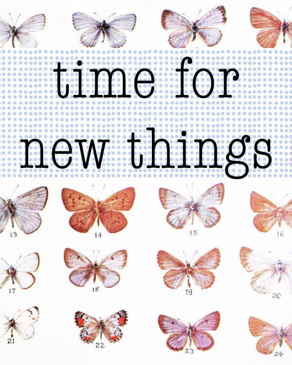 "New Things" Bundle Prints - Image 2