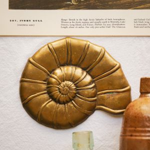 Brass Nautilus Shell