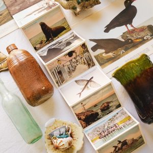 Catalina Island folding Post Card