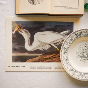 Audubon Print