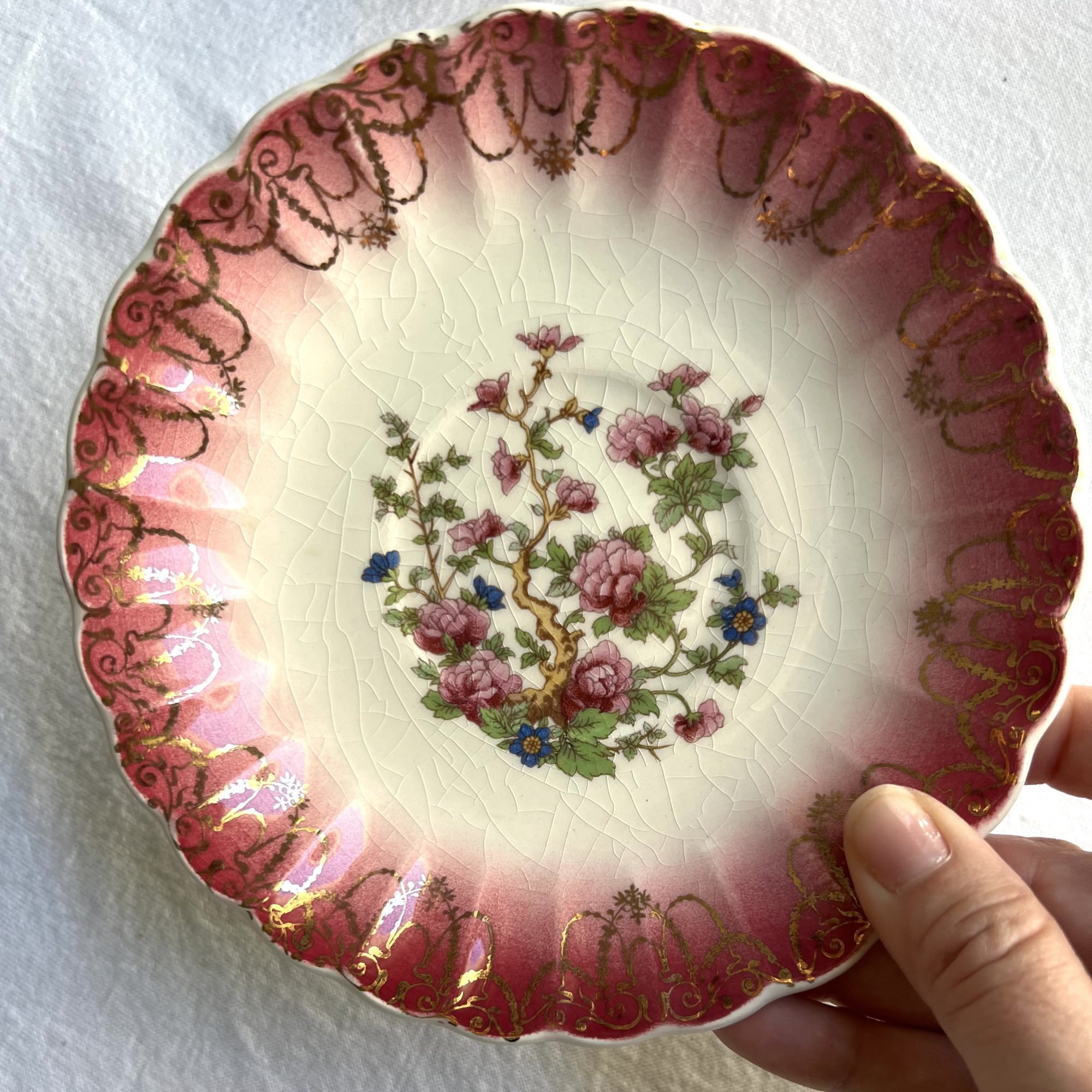 Teacup - Rare Maroon - Image 4